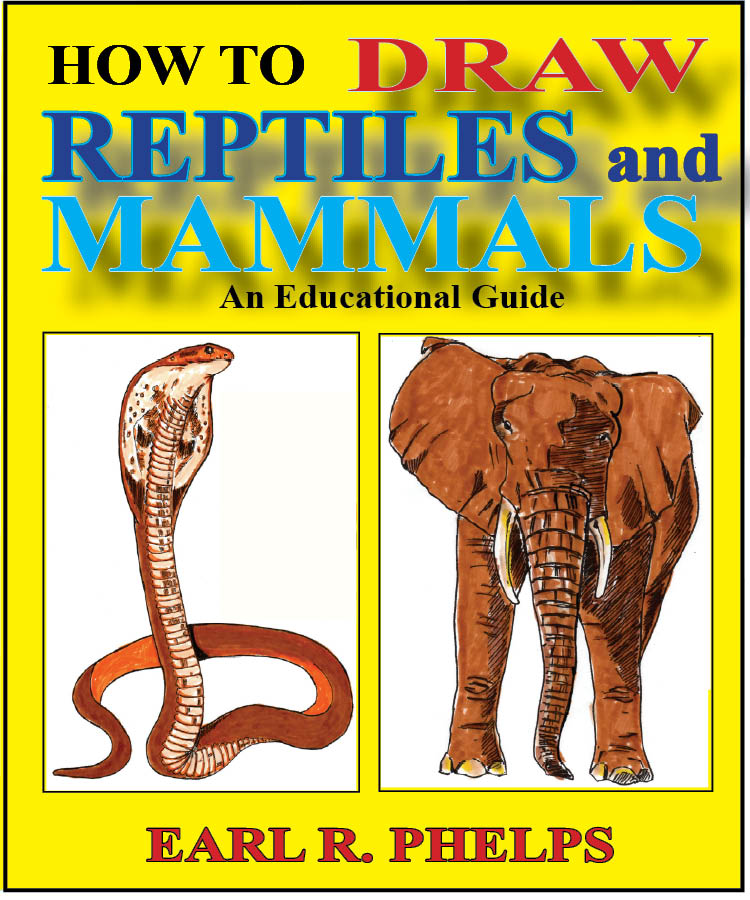 reptile mammals